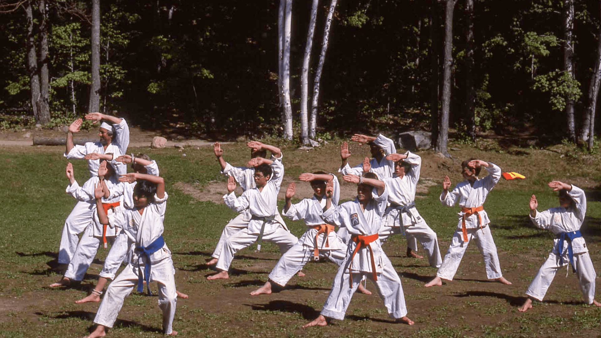 A group of people practicing karate in a grassy field.