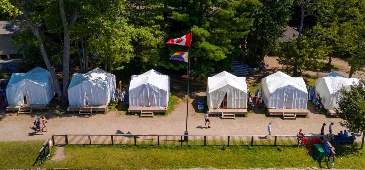 Wooden fence and trees by lake shore.