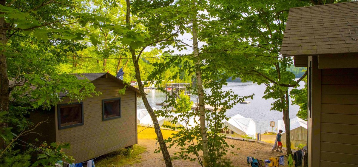 Small wooden cabin tucked into lush forest.